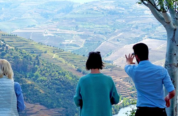Douro valley wine venture and boat trip