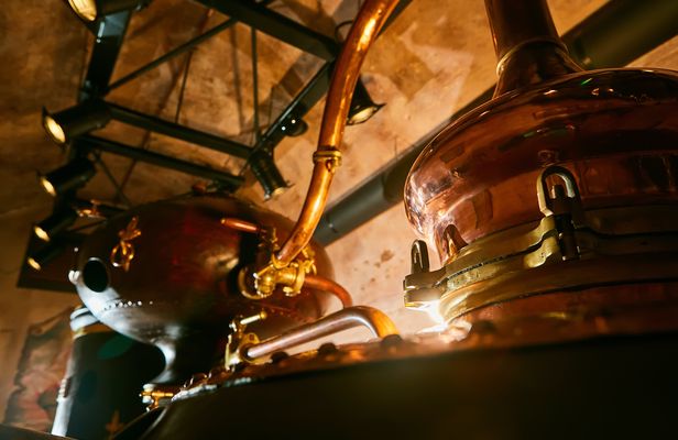 Cognac vineyards and distilleries half-day private tour from Charente