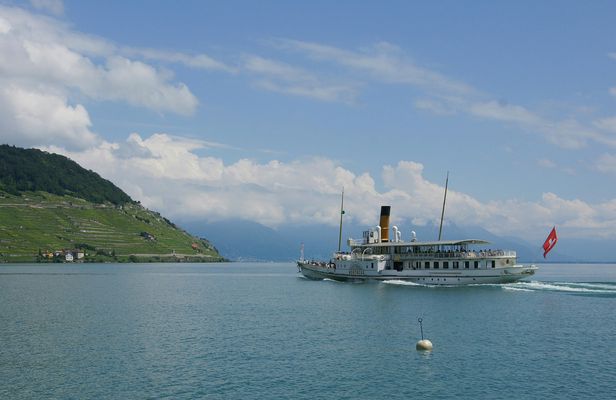 Cruise to discover the Lavaux vineyards and the Montreux-Vevey Region from Lausanne
