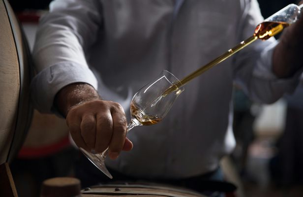 "3 facets of the Cognac country" private tour from Angouleme