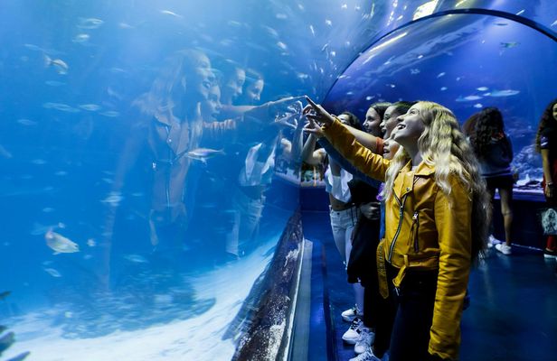 Admission Tickets for the Atlantis Aquarium in Madrid