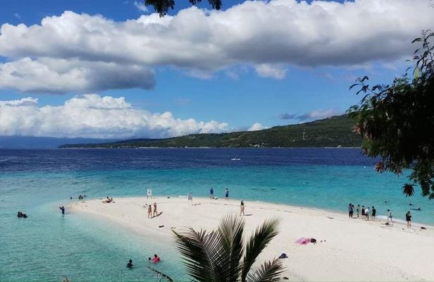 Full-day Oslob whale shark and Sumilon sandbar