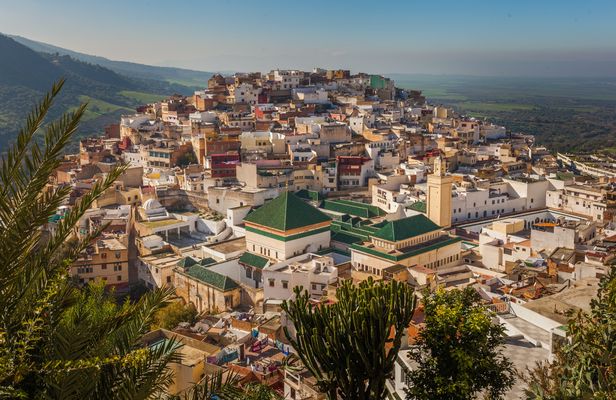 Meknes and Volubilis day trip from Fez