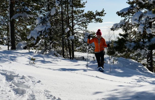 Snowshoe adventure from Stockholm