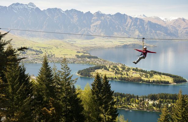Queenstown Moa 4-Line tour