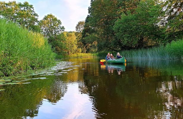 Guided day-trip in the wilderness including bog shoeing and canoeing