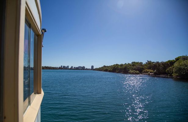 Tweed River and rainforest lunch cruise