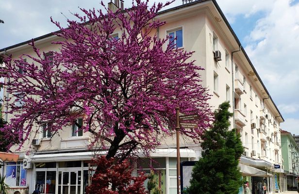 Self-guided Sliven history and wine half-day tour
