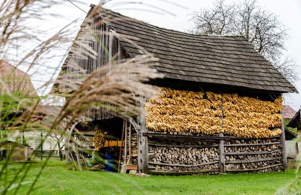 Land of Hayrack and open-air museum day trip from Ljubljana