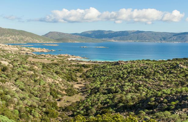 Full-day Asinara National Park tour