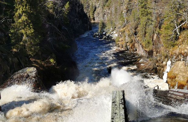 Day-Tour Hiking to Auttiköngäs Falls