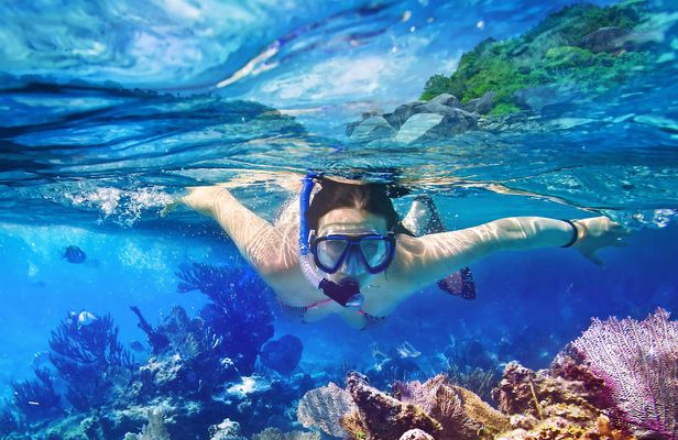 Guided snorkel tour with oceanographers