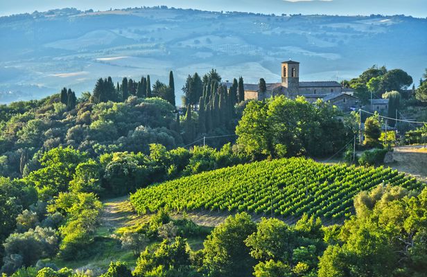 Brunello wine tasting and lunch in a Tuscan castle in Montalcino