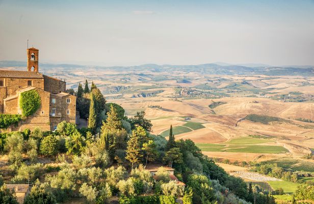 Brunello wine tasting experience in Montalcino