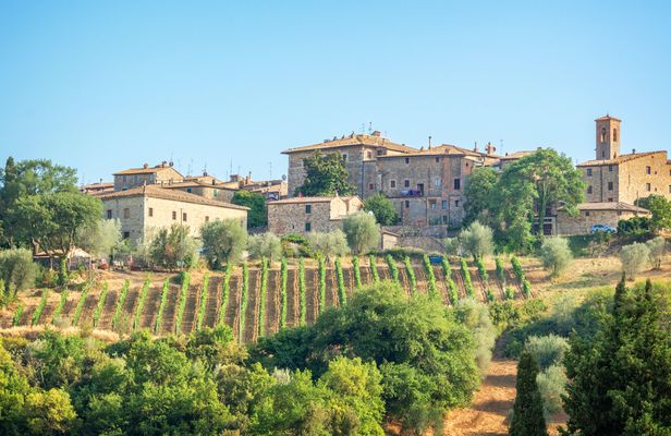 Wine tasting and lunch in a typical winery in Montepulciano