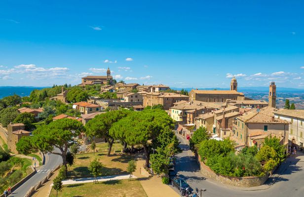 Winery tour and tasting experience in Montepulciano