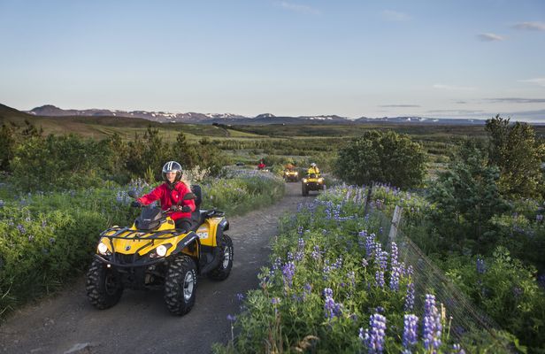 Quad riding and golden circle combo tour