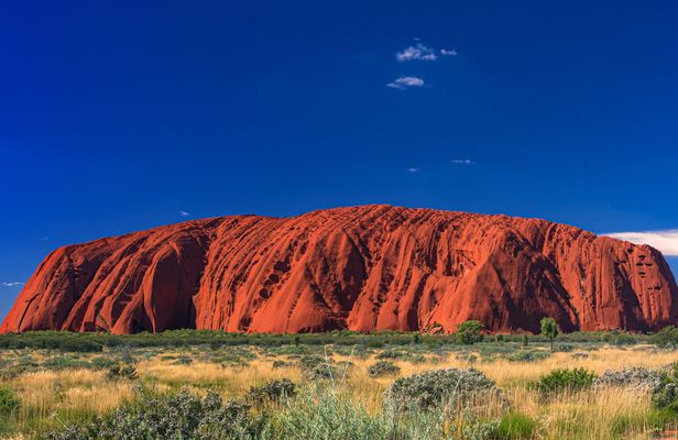 Uluru Sunrise and Field of Light