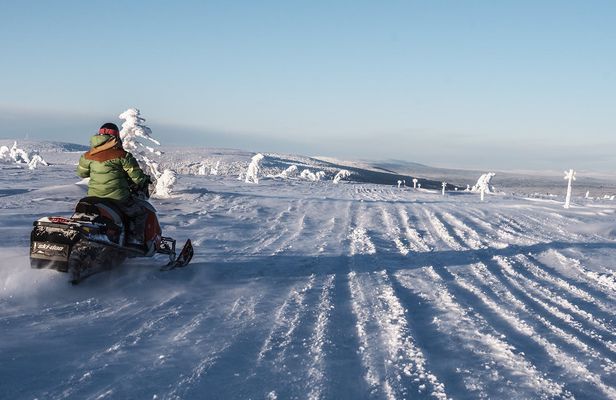 Guided snowmobile tour in Sälen