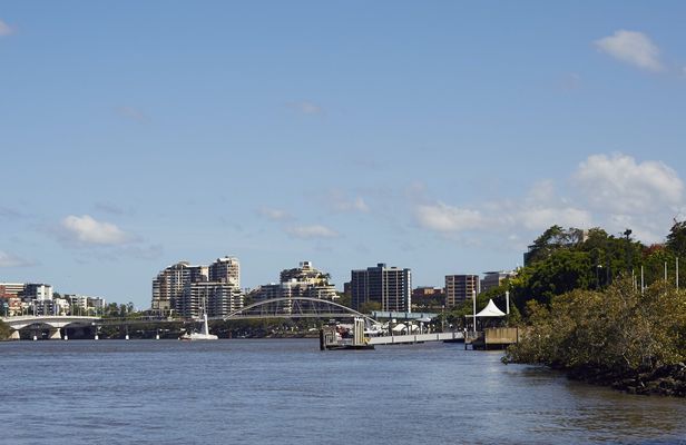 Koala and river cruise