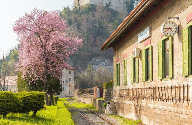 Castle Rajhenburg tour with chocolate and wine tasting