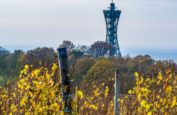 Day trip to Prekmurje with private transportation from Ljubljana