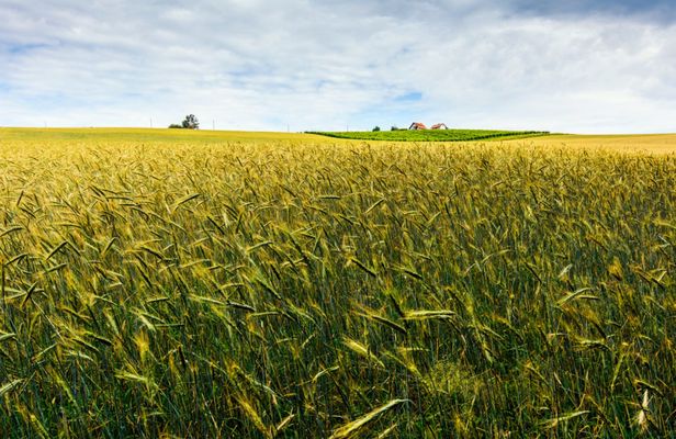 Explore the past and present of Prekmurje region