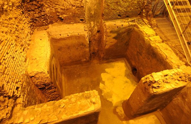 Trevi Fountain and Underground Domus Guided Tour