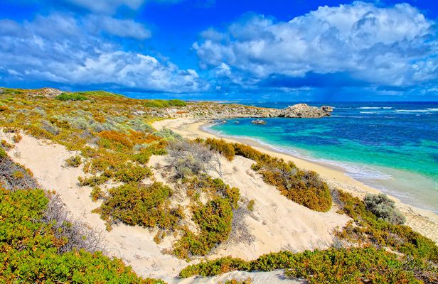 Adventure Rottnest tour from Perth