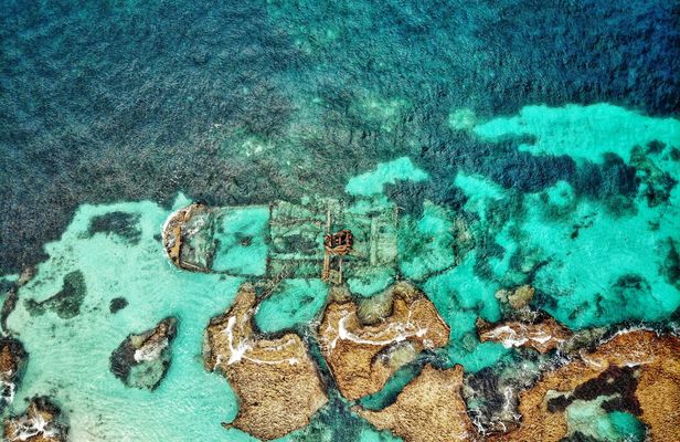 Adventure Rottnest tour from Fremantle