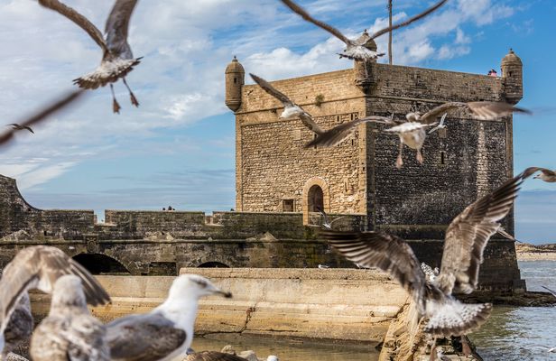 Essaouira and its Medina tour