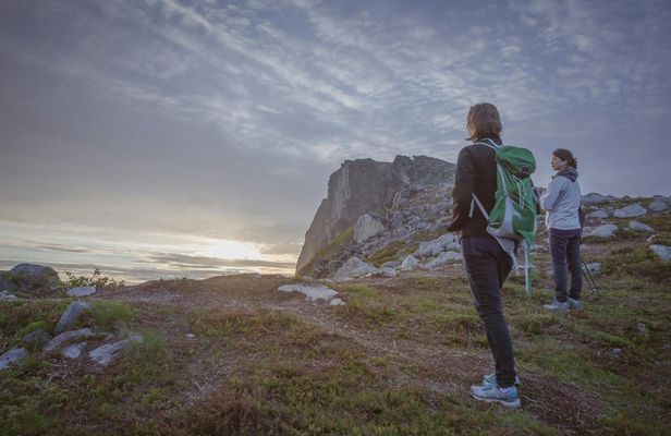 Night hike on the wild side