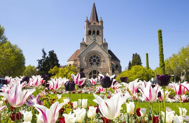 Discover Basel's most photogenic spots with a local