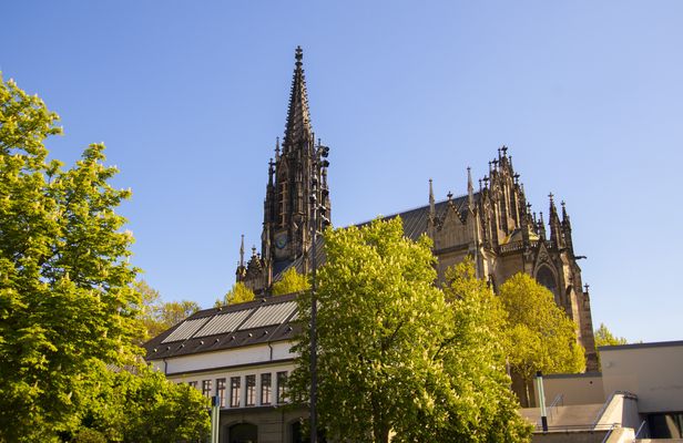 Explore the Instaworthy spots of Basel with a local