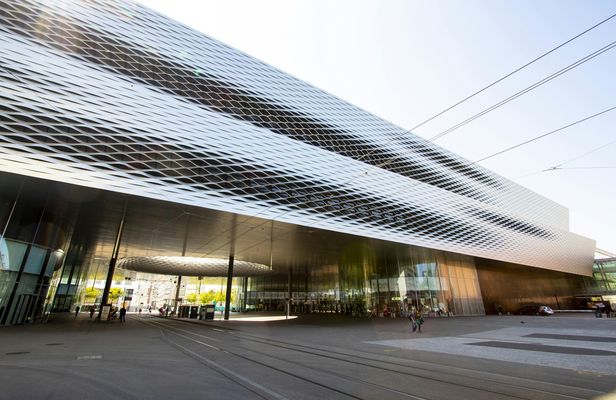 Explore Basel's art and culture with a local