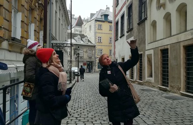 Vienna, City of Many Pasts: guided city tour with a friendly historian