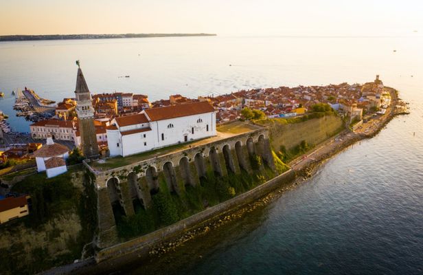 Slovenian Istra wine tour from the Slovenian Coast