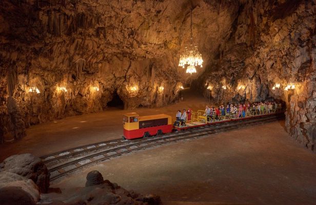 Lipica Stud farm and Postojna cave tour from the Slovenian Coast