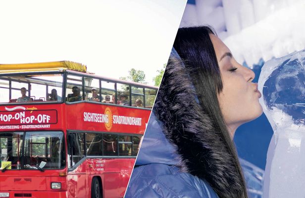 Berlin Icebar and 24 hour hop-on hop-off bus ticket