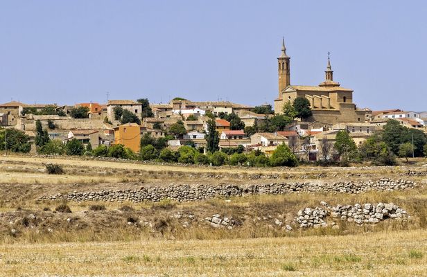 Full-day wine tour and visit to Goya's birthplace