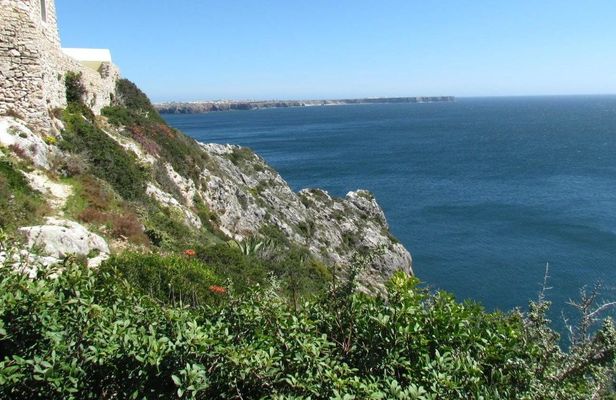 Sagres full-day birdwatching tour