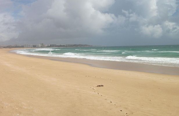 Abicada lagoon and Alvor dunes birdwatching tour