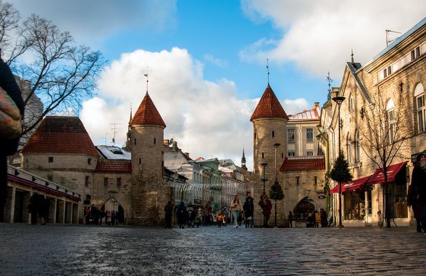Historical walking tour of Tallinn with a local