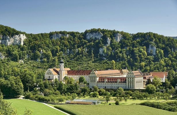 Black Forest myths and stories private walk with a Local