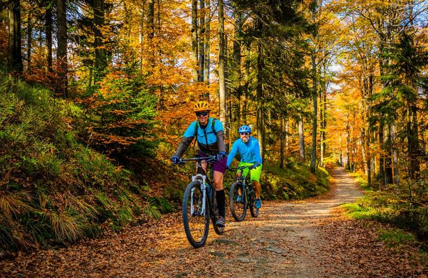 Biking tour on Ljubljana's MTB trail
