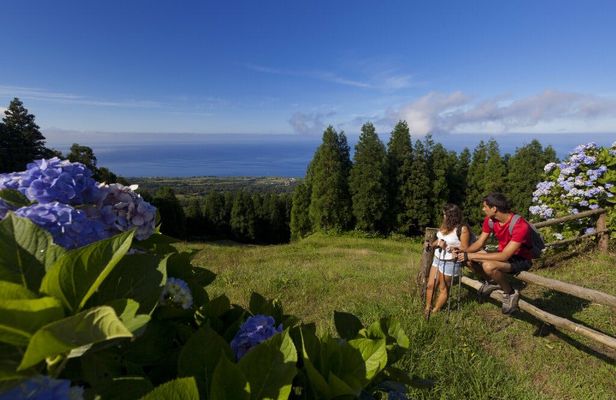 Half-day hiking tour in Sete Cidades