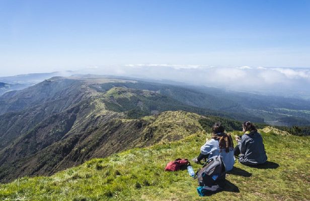 Hiking tour to Pico da Vara from São Miguel - Tinggly