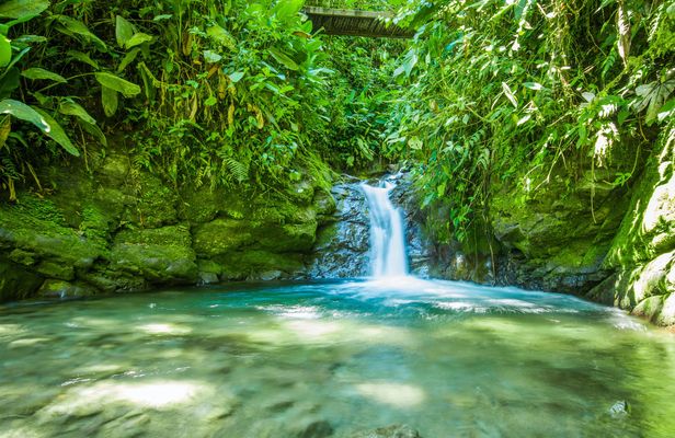 Mindo full-day tour