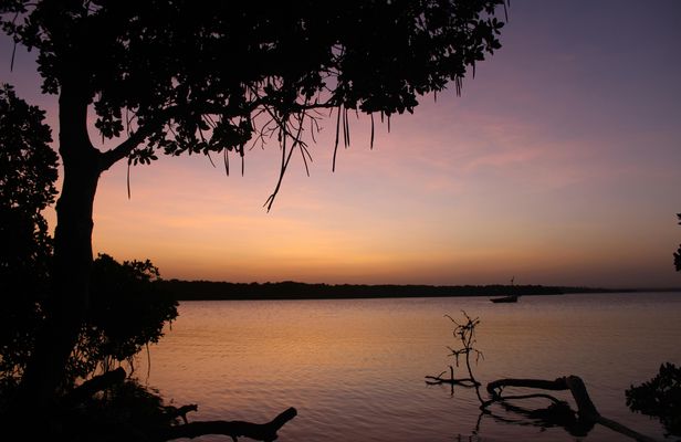 Mida Creek Boat Ride and Snorkeling at Watamu Marine Park
