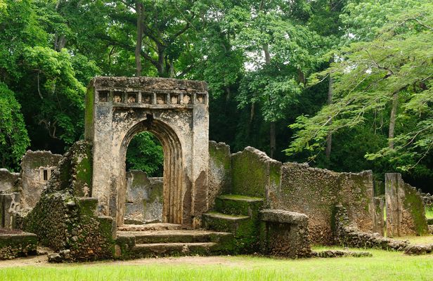 Arabuko Sokoke Forest and Gedi Ruins Day Tour from Mombasa North Coast